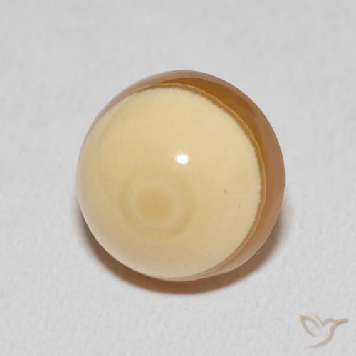 13.48 ct Multicolor Agate Stone, Natural Agate in Round Cabochon Shape for Sale