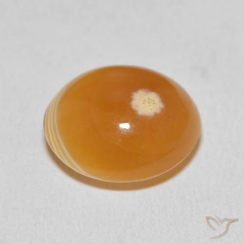 Agate Gemstone in 16.3 x 14.7 mm Size for Sale, Agate Stone in Multicolor Color