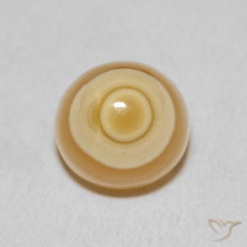 8.00ct Natural Multicolor Agate, Fancy, Opaque