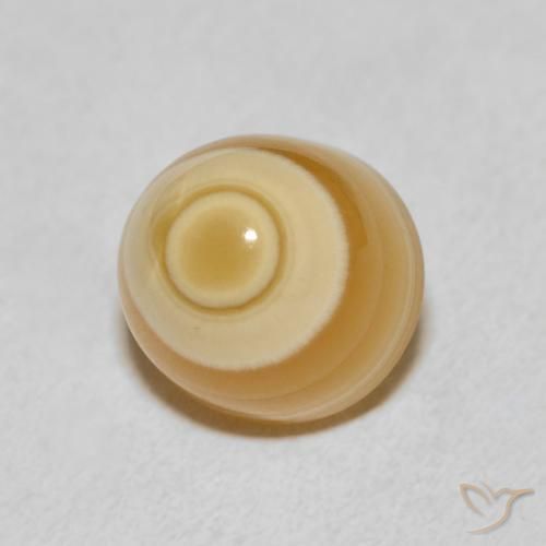 8.00 ct Multicolor Agate Stone, Natural Agate in Fancy Cabochon Shape for Sale