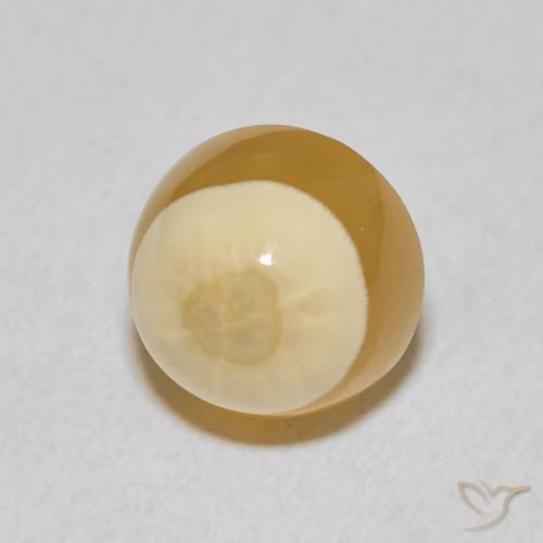 6.83 ct Multicolor Agate Stone, Natural Agate in Round Cabochon Shape for Sale
