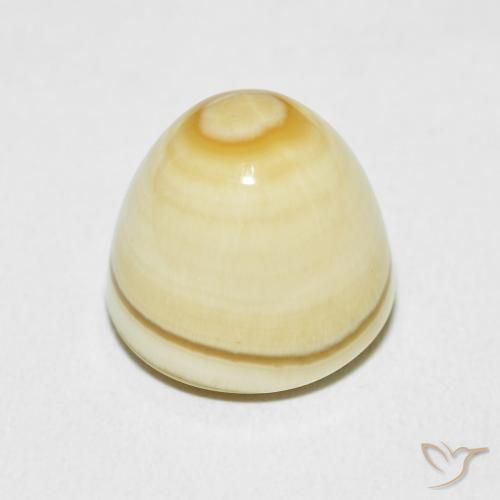 Agate Gemstone in 13 x 13 mm (calibrated) Size for Sale, Agate Stone in Multicolor Color