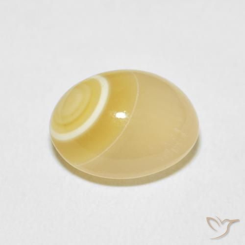 Agate Gemstone in 13.7 x 11 mm Size for Sale, Agate Stone in Multicolor Color