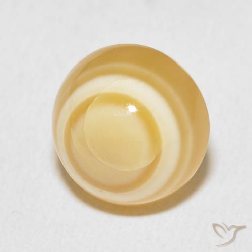 8.64 ct Multicolor Agate Stone, Natural Agate in Round Cabochon Shape for Sale