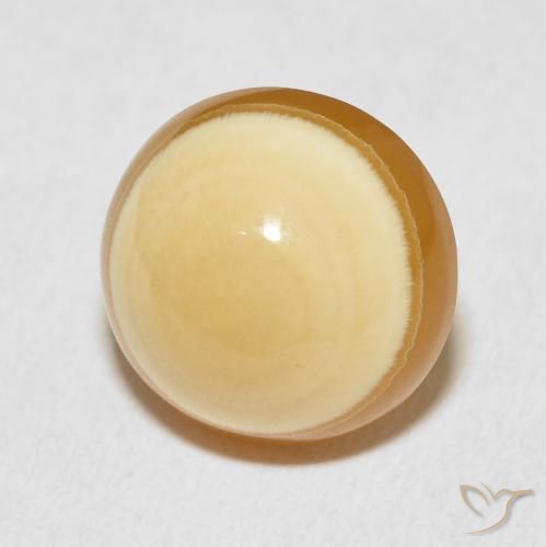 11.35 ct Multicolor Agate Stone, Natural Agate in Round Cabochon Shape for Sale