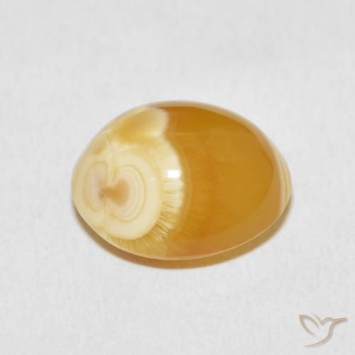 Agate Gemstone in 14.8 x 12.7 mm Size for Sale, Agate Stone in Multicolor Color