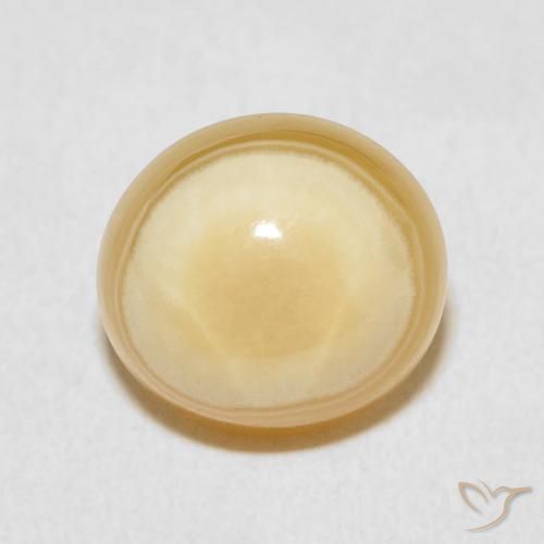 9.04ct Natural Multicolor Agate, Oval, Opaque
