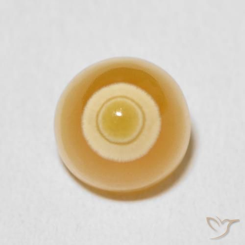 5.91ct Natural Multicolor Agate, Fancy, Opaque