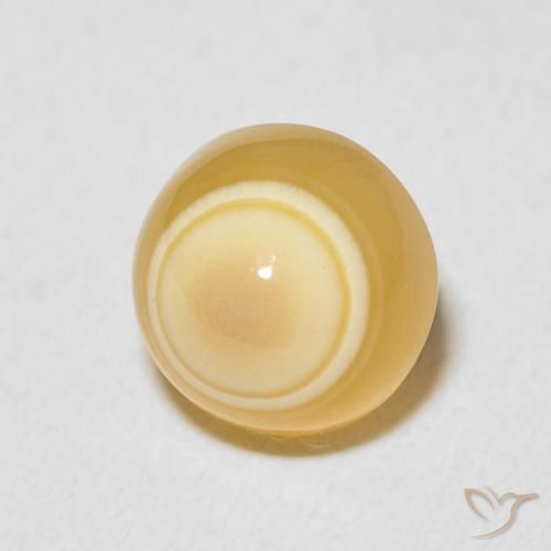 6.27 ct Multicolor Agate Stone, Natural Agate in Round Cabochon Shape for Sale