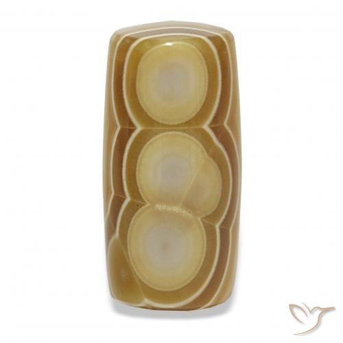 14.68ct Multicolor Agate, Fancy, Opaque
