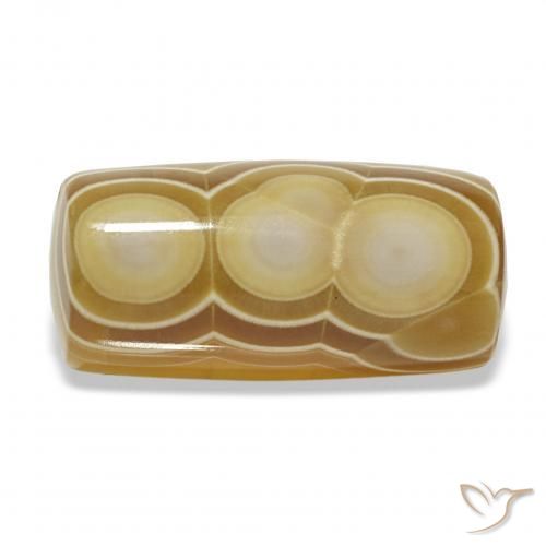 14.68 ct Multicolor Agate Stone, Natural Agate in Barrel / Full-Round Shape for Sale