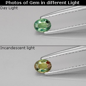0.26 ct Multicolor Alexandrite Gemstone, Alexandrite Gem in Oval Facet Shape for Sale.