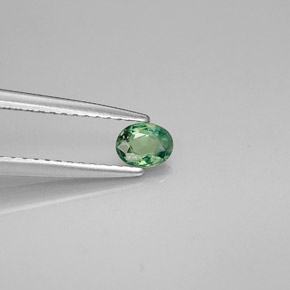 0.26 ct Multicolor Alexandrite Stone, Natural Alexandrite in Oval Facet Shape for Sale