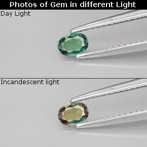 0.25 ct Multicolor Alexandrite Gemstone, Alexandrite Gem in Oval Facet Shape for Sale.