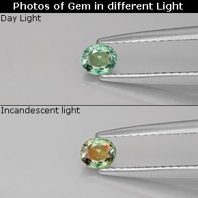 0.25 ct Multicolor Alexandrite Gemstone, Alexandrite Gem in Oval Facet Shape for Sale.