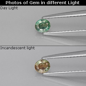 0.25 ct Multicolor Alexandrite Gemstone, Alexandrite Gem in Oval Facet Shape for Sale.