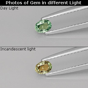 0.20 ct Multicolor Alexandrite Gemstone, Alexandrite Gem in Oval Facet Shape for Sale.