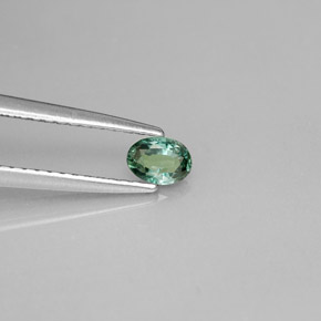 0.23 ct Multicolor Alexandrite Stone, Natural Alexandrite in Oval Facet Shape for Sale