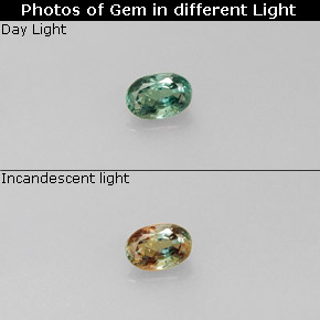 0.20 ct Multicolor Alexandrite Gemstone, Alexandrite Gem in Oval Facet Shape for Sale.