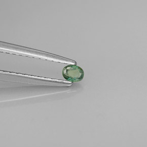 0.08 ct Multicolor Alexandrite Stone, Natural Alexandrite in Oval Facet Shape for Sale