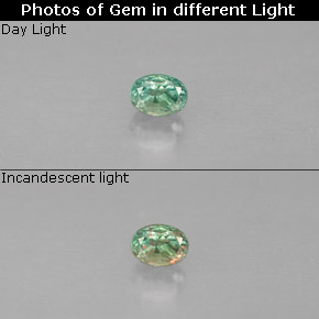 0.12 ct Multicolor Alexandrite Gemstone, Alexandrite Gem in Oval Facet Shape for Sale.