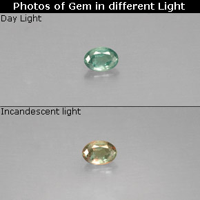 0.06 ct Multicolor Alexandrite Gemstone, Alexandrite Gem in Oval Facet Shape for Sale.