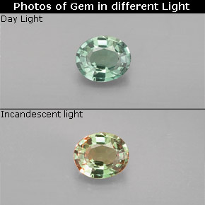 0.25 ct Multicolor Alexandrite Gemstone, Alexandrite Gem in Oval Facet Shape for Sale.
