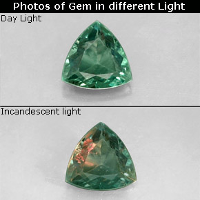 0.24 ct Multicolor Alexandrite Gemstone, Alexandrite Gem in Trillion Facet Shape for Sale.