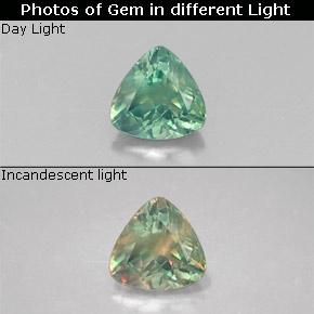 0.24 ct Multicolor Alexandrite Gemstone, Alexandrite Gem in Trillion Facet Shape for Sale.