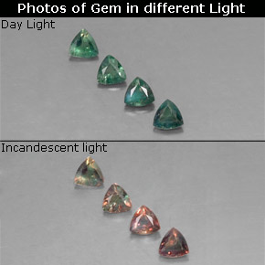 0.49 ct Multicolor Alexandrite Gemstone, Alexandrite Gem in Trillion Facet Shape for Sale.
