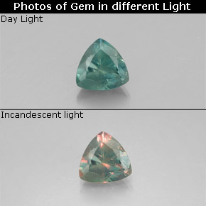 0.32 ct Multicolor Alexandrite Gemstone, Alexandrite Gem in Trillion Facet Shape for Sale.