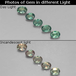 0.66 ct Multicolor Alexandrite Gemstone, Alexandrite Gem in Oval Facet Shape for Sale.
