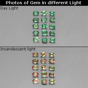 1.59 ct Multicolor Alexandrite Gemstone, Alexandrite Gem in Oval Facet Shape for Sale.
