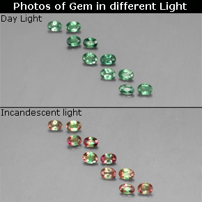 1.02 ct Multicolor Alexandrite Gemstone, Alexandrite Gem in Oval Facet Shape for Sale.