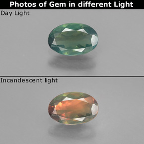 0.55 ct Multicolor Alexandrite Gemstone, Alexandrite Gem in Oval Facet Shape for Sale.