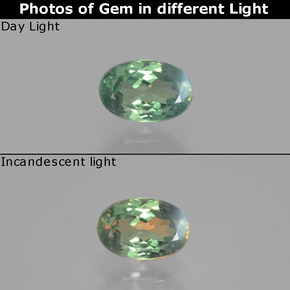 0.65 ct Multicolor Alexandrite Gemstone, Alexandrite Gem in Oval Facet Shape for Sale.