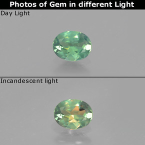 0.37 ct Multicolor Alexandrite Gemstone, Alexandrite Gem in Oval Facet Shape for Sale.