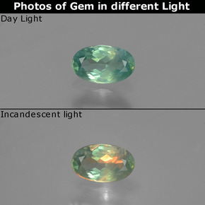 0.27 ct Multicolor Alexandrite Gemstone, Alexandrite Gem in Oval Facet Shape for Sale.