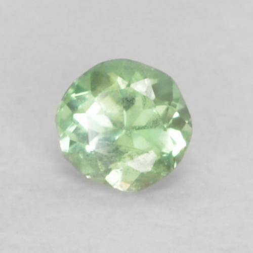 0.06 ct Green Alexandrite Stone, Natural Alexandrite in Round Facet Shape for Sale