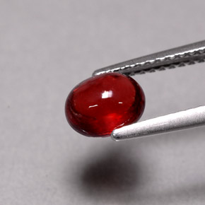 1.57 ct Red Almandine Garnet Gemstone, Almandine Garnet Gem in Oval Cabochon Shape for Sale.