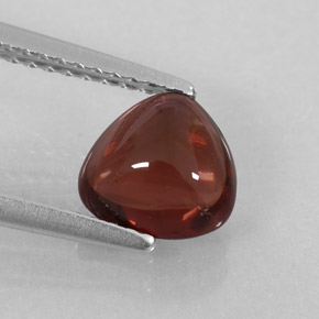 1.47 ct Red Almandine Garnet Gemstone, Almandine Garnet Gem in Trillion Cabochon Shape for Sale.
