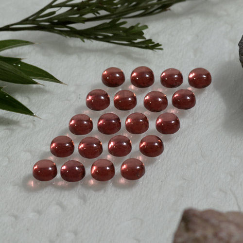 Lotto di 20 pezzi Granato almandino Rosso cremisi taglio rotondo dal Madagascar - Dimensioni 3,1mm, peso 3,64 ct totali / media. 0,18 ct ciascuno, durezza Mohs 6,5 - 7,5 adatto per gioielli da indossare ogni giorno, Photo A