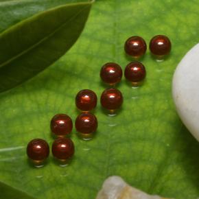 0.2ct Round Cabochon Red Almandine Garnet Gem for sale 0.2ct Round Cabochon Red Almandine Garnet Gem (ID: 467891)