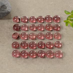 0.2ct Round Cabochon Red Almandine Garnet Gem for sale 0.2ct Round Cabochon Red Almandine Garnet Gem (ID: 467970)