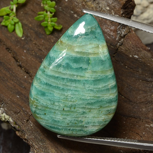 Pine Green Amazzonite Gem - 31.1ct Cabochon pera (ID: 484684)