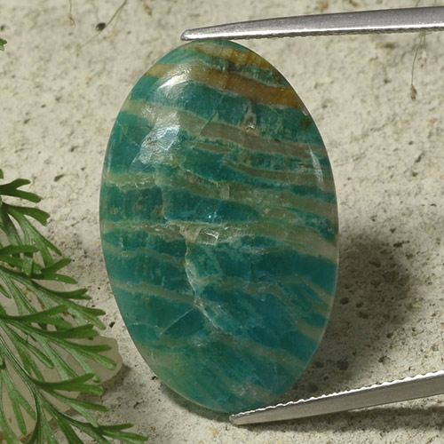 Pine Green Amazonit Edelstein - 14.6ct Oval Cabochon (ID: 486927)