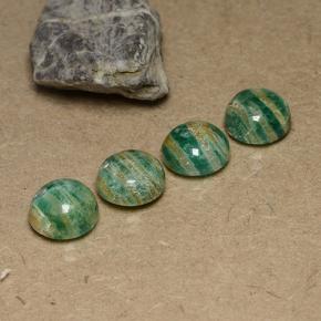11.54 ctw Green Amazonite Stones, Natural Amazonite in Round Cabochon Shape for Sale