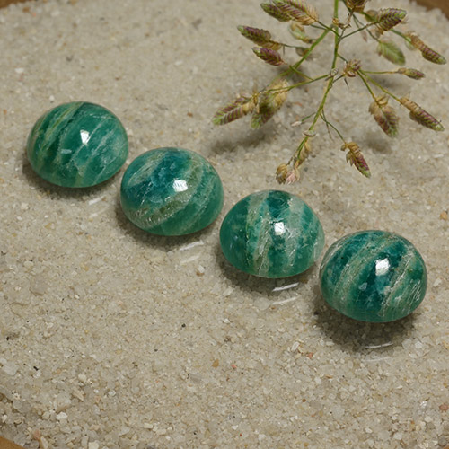 Pine Green Amazonite Gem - 3.5ct Round Cabochon (ID: 491092)