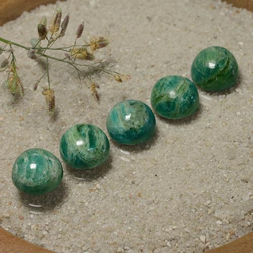15.78 ctw Green Amazonite Stones, Natural Amazonite in Round Cabochon Shape for Sale