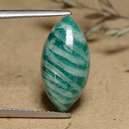 Pine Green Amazonite Gem - 6.9ct Marquise Cabochon (ID: 491249)